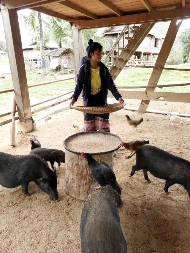 Femme avec animaux de la ferme