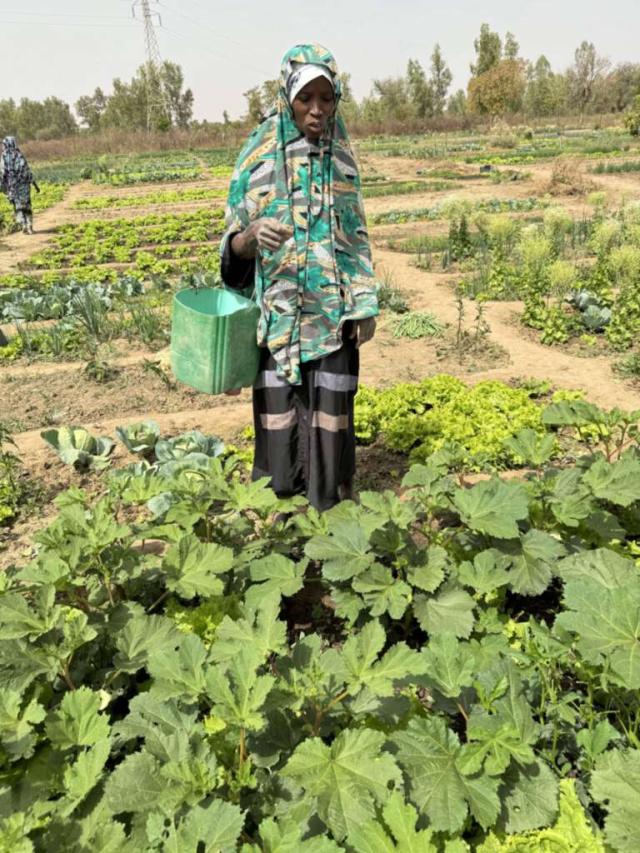 Madame Mah COULIBALY se tenant debout, un seau sur le bras, au milieu de son champs
