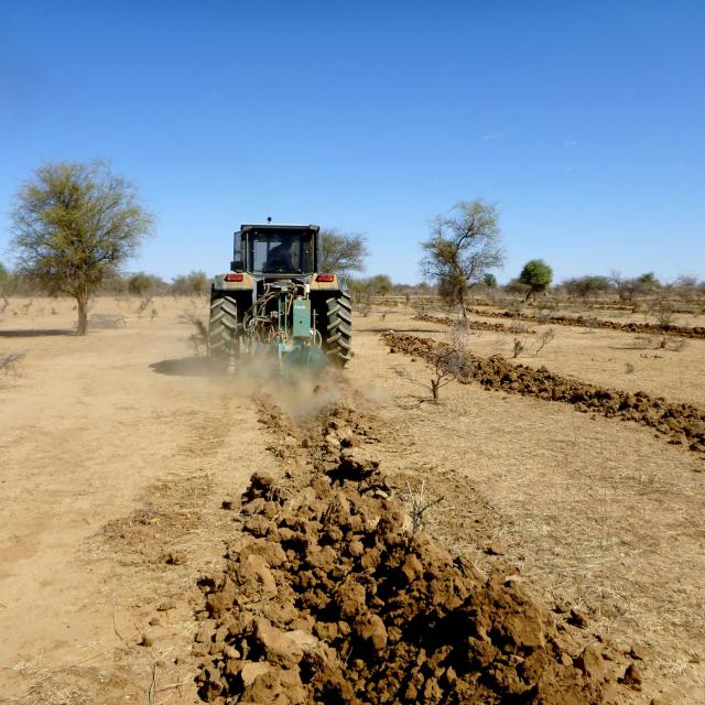 Tracteur dans un champ