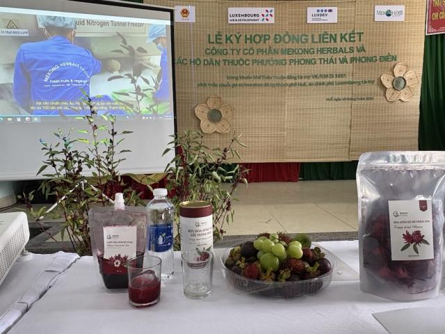 Hibiscus-based products
