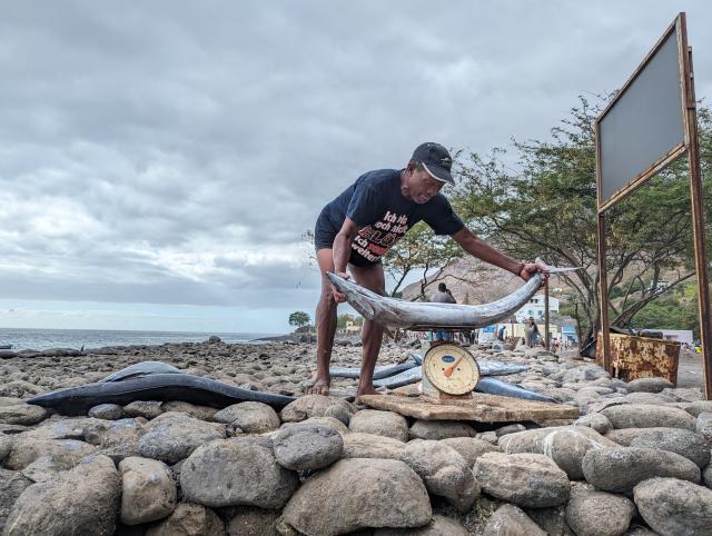 Pêcheur au Cabo Verde