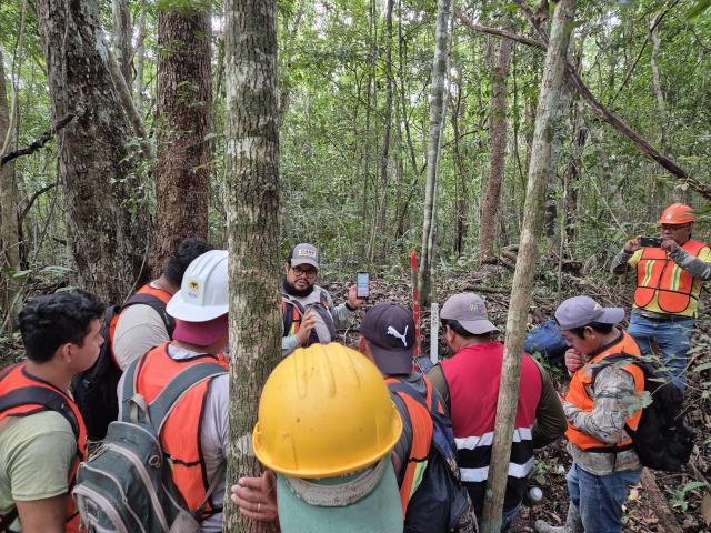 Training of brigades in charge of forest data recording in the field.