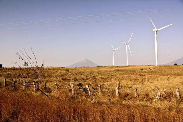 Éoliennes dans un champ