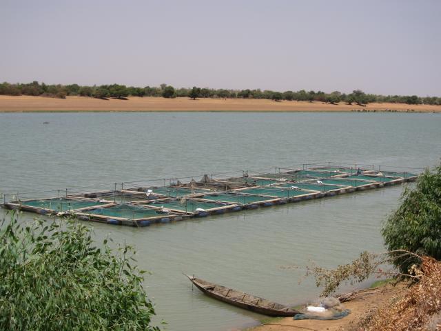 Lac avec bacs de pêche