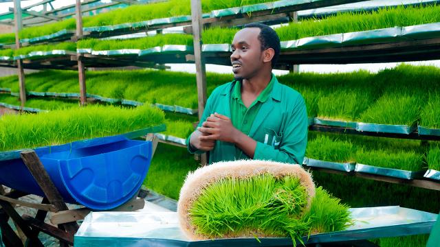 Engagement du secteur privé au Rwanda