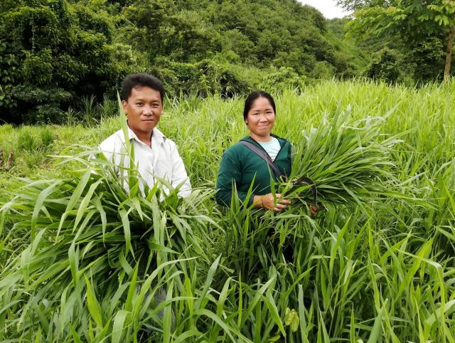Agriculteurs au Laos