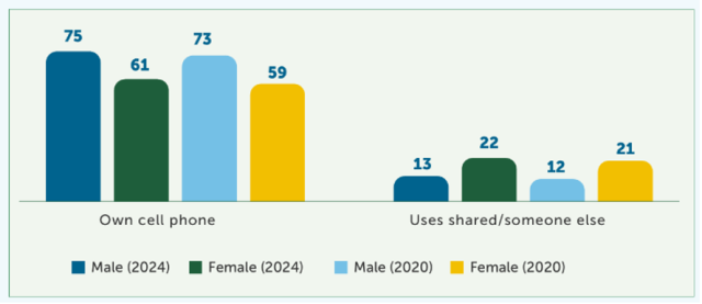 Mobile phone access (%)