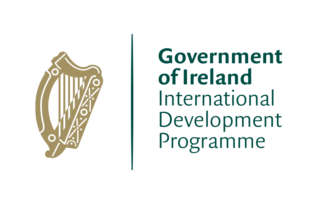 Logo du gouvernement irlandais