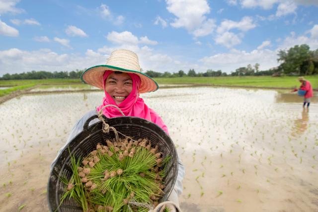 Agriculteur au Cambodge